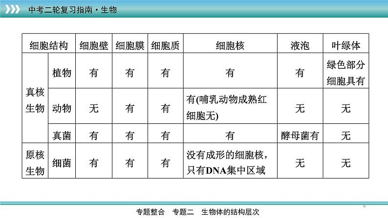 初中生物中考复习 专题03生物体的结构层次(上课用课件)-【过专题】2022年中考生物二轮精准高效复习第6页