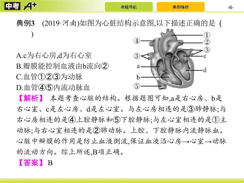 初中生物中考复习 专题4　生物圈中的人(一)课件PPT06