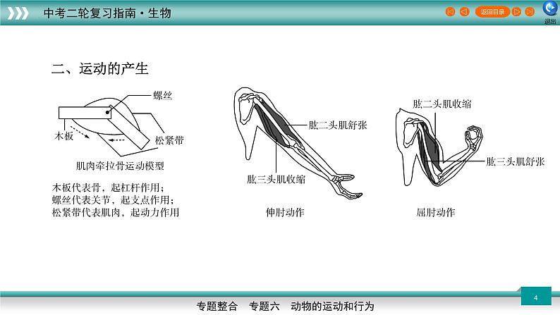 初中生物中考复习 专题06动物的运动和行为(上课用课件)-【过专题】2022年中考生物二轮精准高效复习04