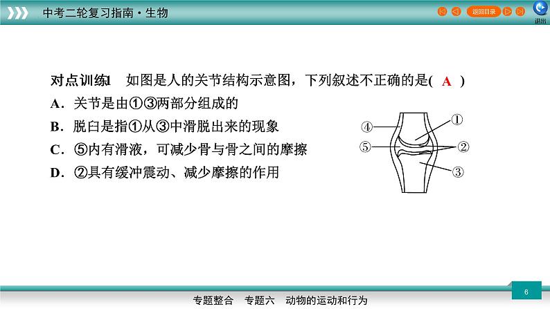 初中生物中考复习 专题06动物的运动和行为(上课用课件)-【过专题】2022年中考生物二轮精准高效复习06