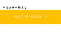 初中生物中考复习 专题05 被子植物的一生（上课用课件）-【过一轮】2022年中考生物一轮复习课件精讲与习题精练