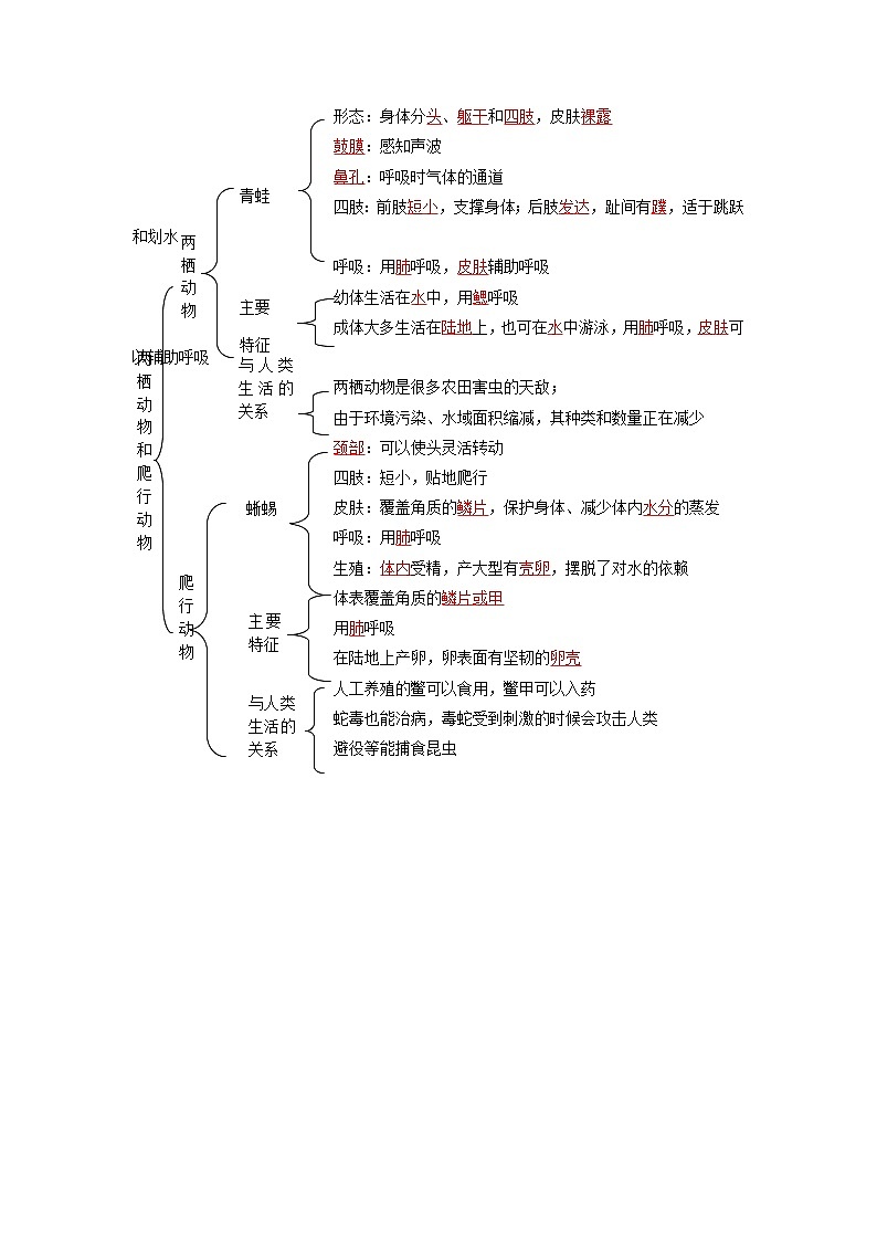 第五节 两栖动物和爬行动物(教师版)-八年级上册同步精品讲义(人教版 )第3页