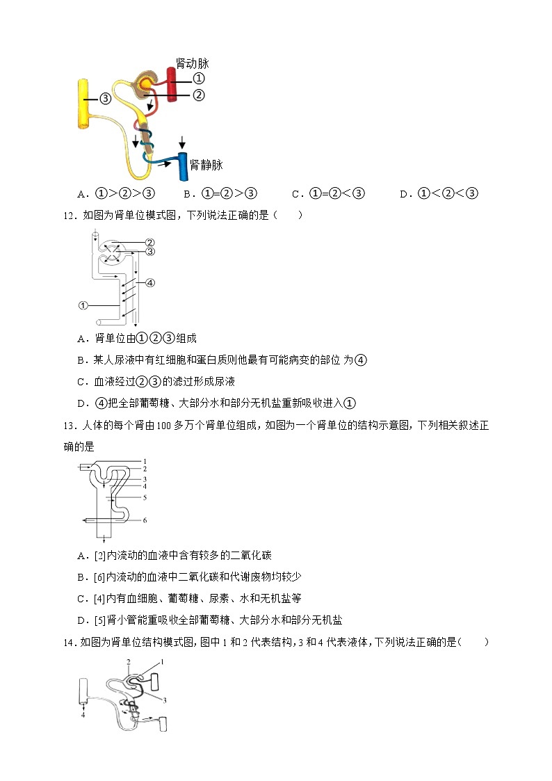 【中考一轮复习】2023年中考生物济南版复习训练卷六 专题6 生物的分类(含解析)03