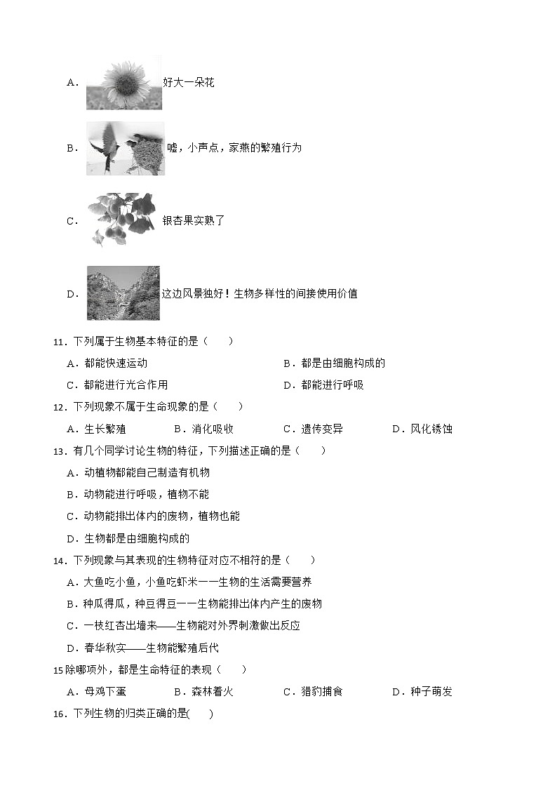【中考一轮复习】2023年生物人教版专用训练卷——专题1 认识生物(含解析)第2页