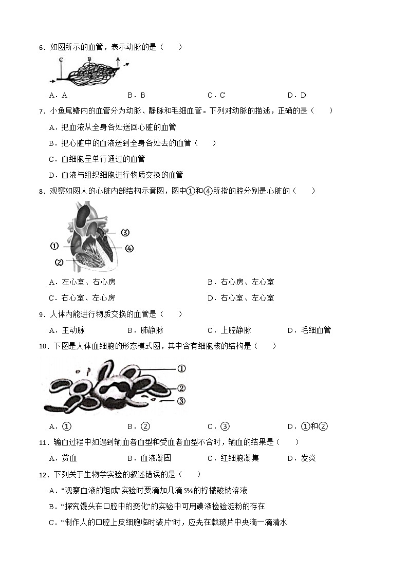 【中考一轮复习】2023年生物人教版专用训练卷——专题13 人体内物质的运输( 含解析)02