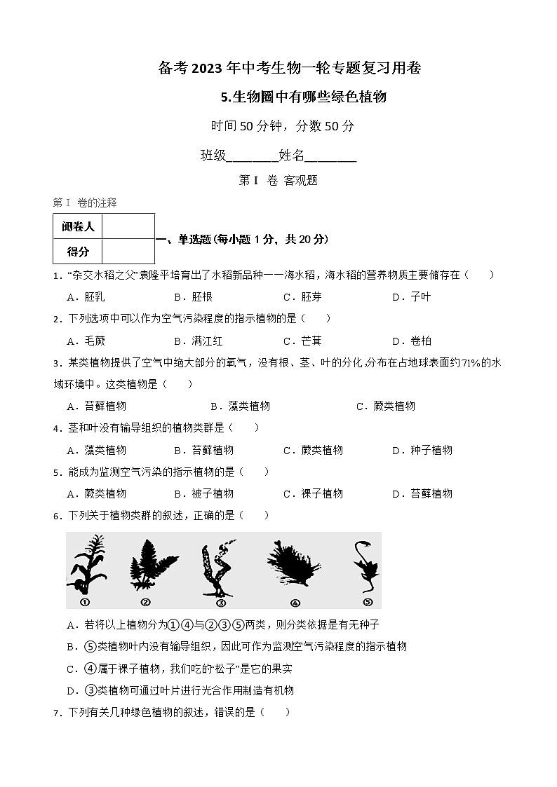 【中考一轮复习】2023年生物人教版专用训练卷——专题5 生物圈中有哪些绿色植物( 含解析)01