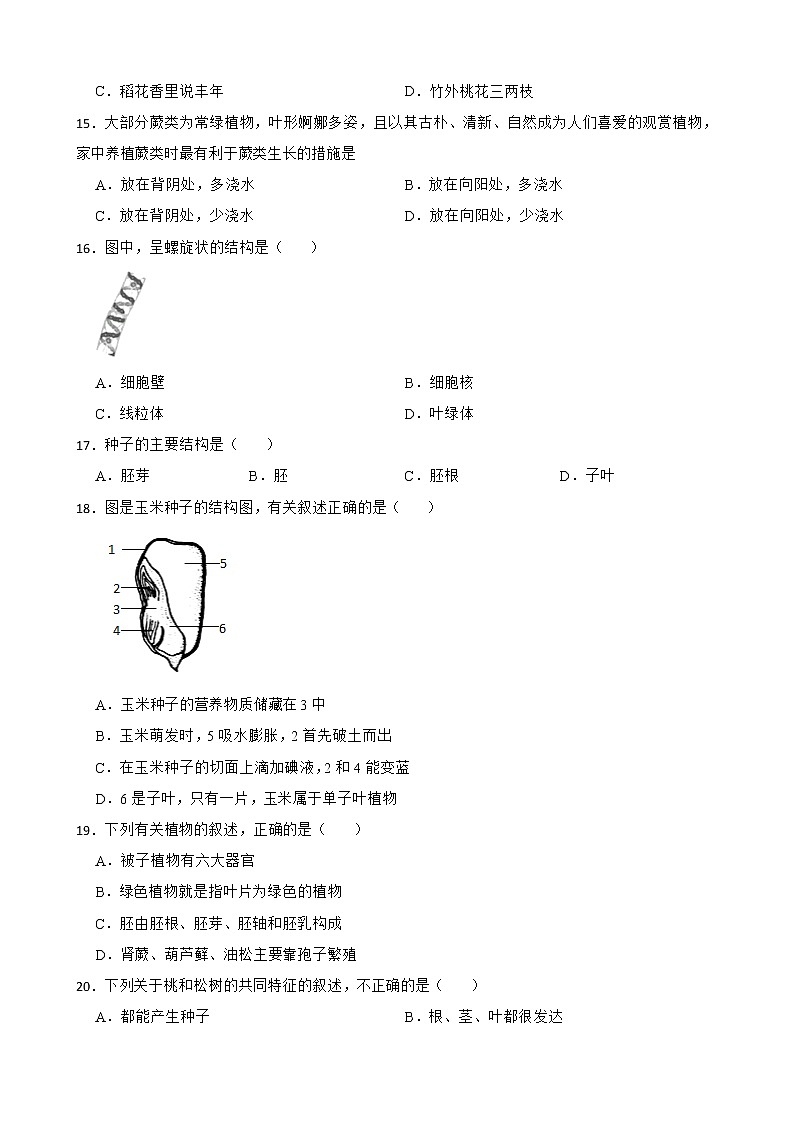 【中考一轮复习】2023年生物人教版专用训练卷——专题5 生物圈中有哪些绿色植物( 含解析)03