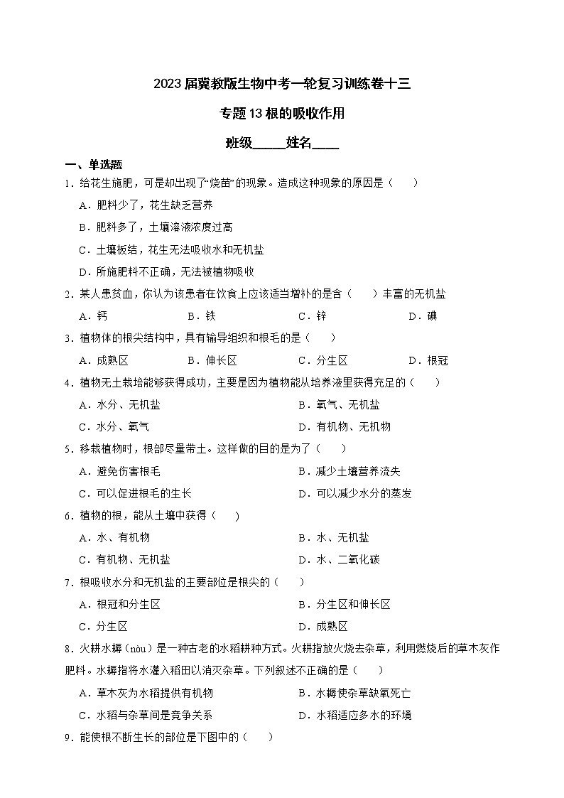 【中考一轮复习】2023年生物中考冀教版复习训练卷十三 专题13根的吸收作用(含解析)第1页