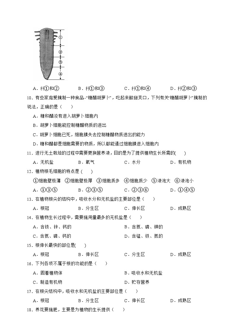 【中考一轮复习】2023年生物中考冀教版复习训练卷十三 专题13根的吸收作用(含解析)第2页