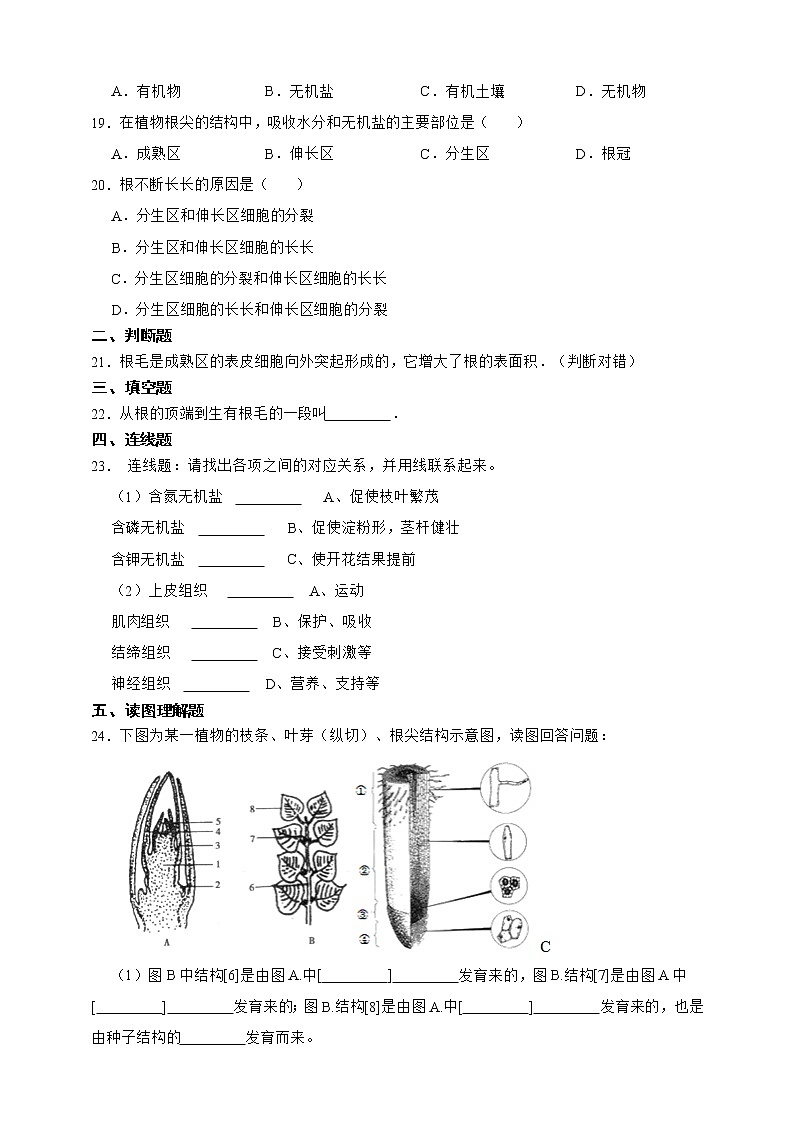 【中考一轮复习】2023年生物中考冀教版复习训练卷十三 专题13根的吸收作用(含解析)第3页