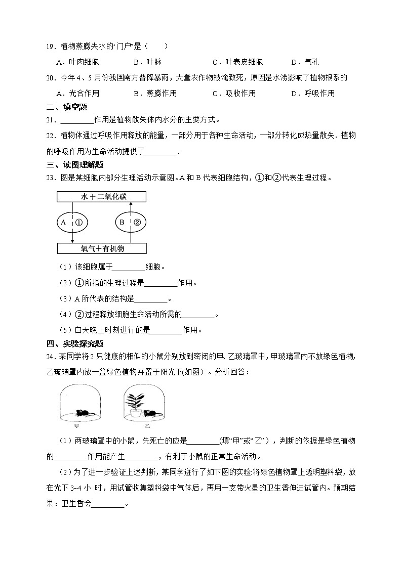 【中考一轮复习】2023年生物中考冀教版复习训练卷十二 专题12 种子的萌发和芽发育(含解析)第3页