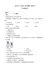 【中考一轮复习】2023年苏科版生物训练卷——专题11 地面上的生物（ 含解析）