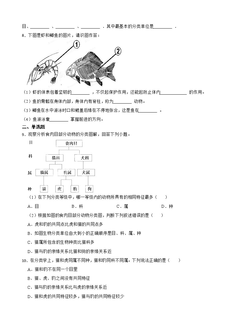 【中考一轮复习】2023年苏科版生物训练卷——专题14 生物的命名和分类( 含解析)第2页