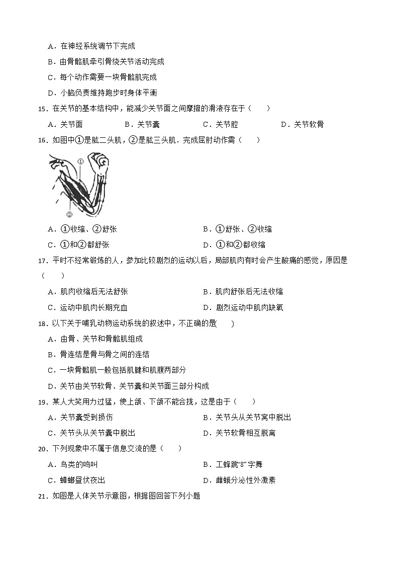 【中考一轮复习】2023年苏科版生物训练卷——专题17 动物的运动和行为 (含解析)第3页