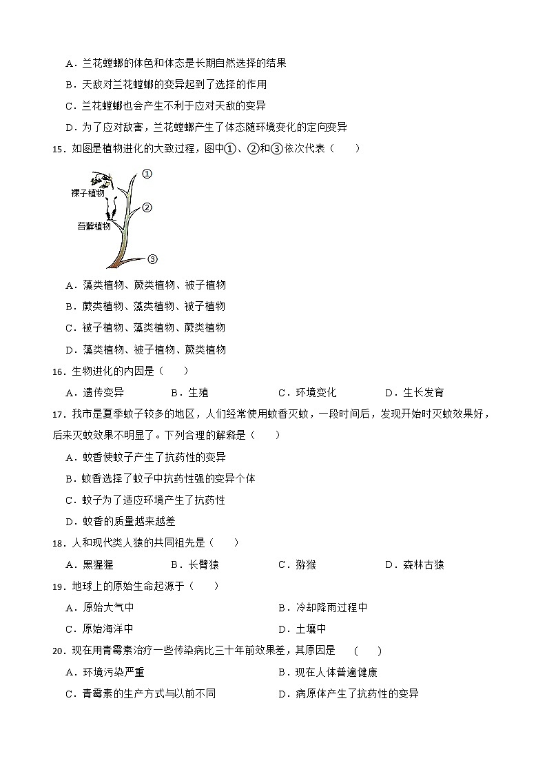 【中考一轮复习】2023年苏科版生物训练卷——专题23 生物的进化( 含解析)03