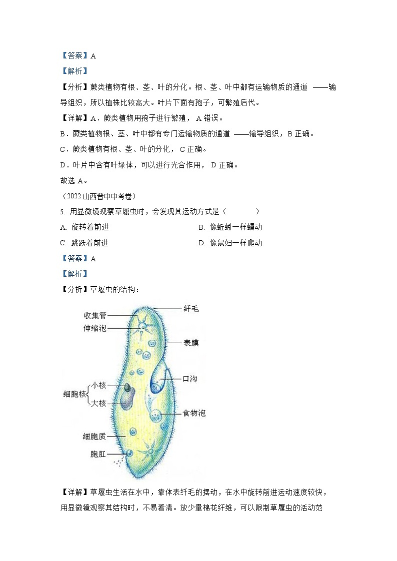 【备战2023】2022年全国通用中考生物真题汇编——专题09植物、动物、微生物类群(解析版)第3页