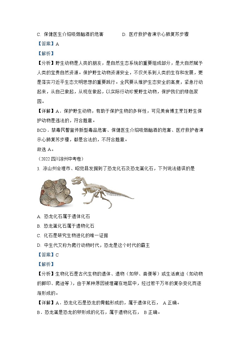 【备战2023】2022年全国通用中考生物真题汇编——专题09植物、动物和微生物类群(解析版)02