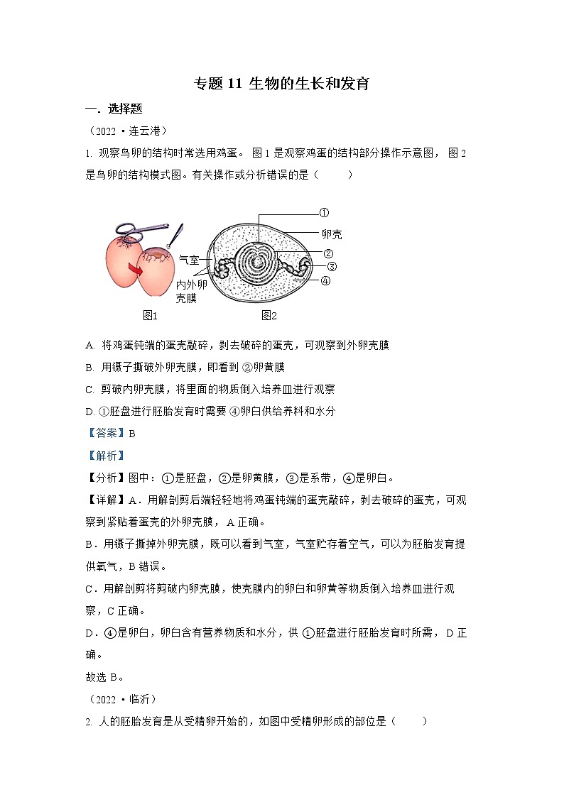 【备战2023】2022年全国通用中考生物真题汇编——专题11生物的生殖和发育(解析版)第1页