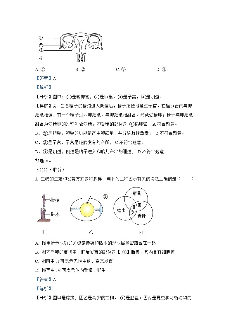【备战2023】2022年全国通用中考生物真题汇编——专题11生物的生殖和发育(解析版)第2页