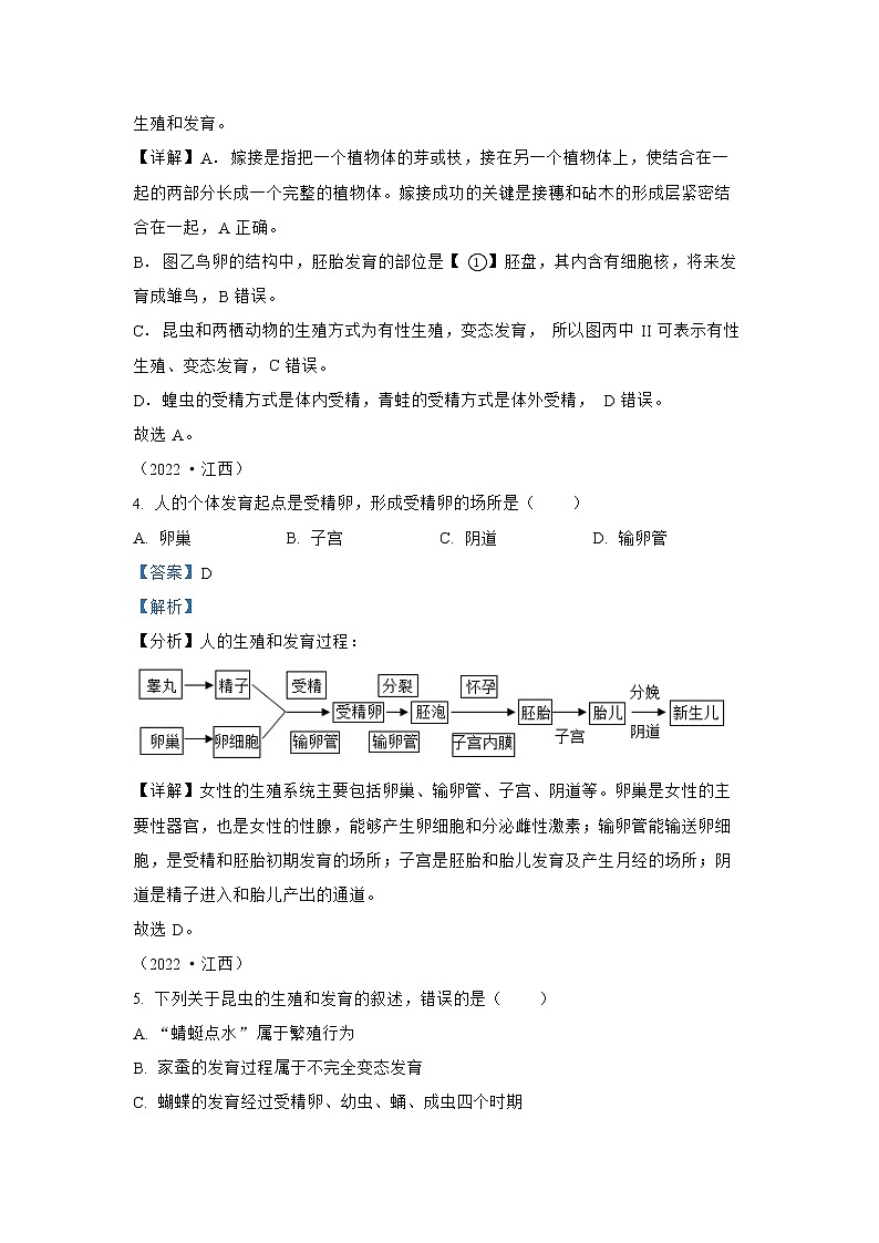 【备战2023】2022年全国通用中考生物真题汇编——专题11生物的生殖和发育(解析版)第3页