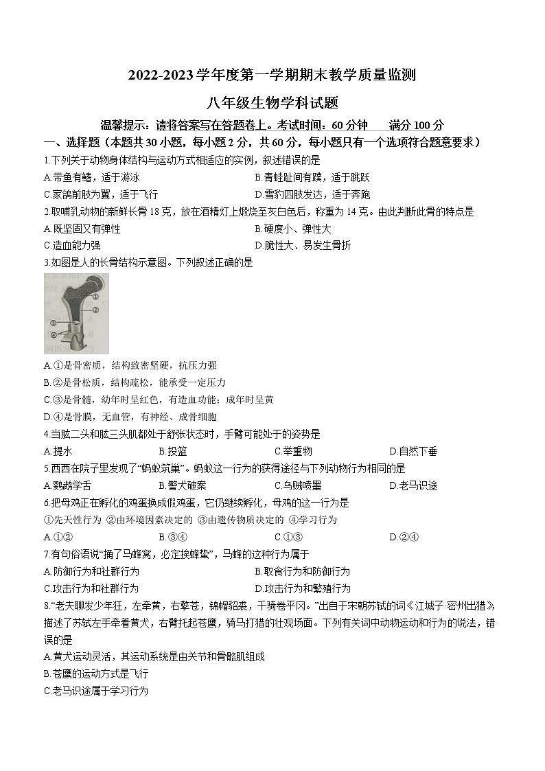 广东省揭阳市揭东区2022-2023学年八年级上学期期末生物试题(含答案)01