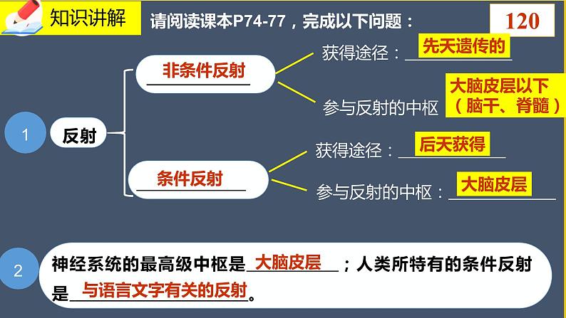 12.1.2《神经系统的组成》课件PPT第3页