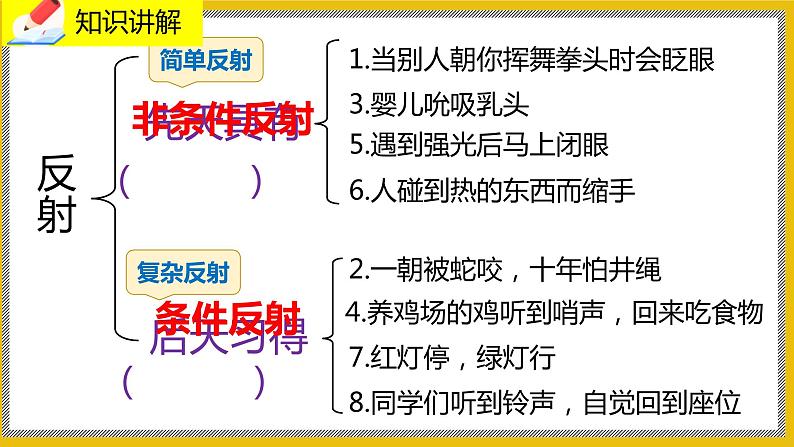 12.1.2《神经系统的组成》课件PPT第5页