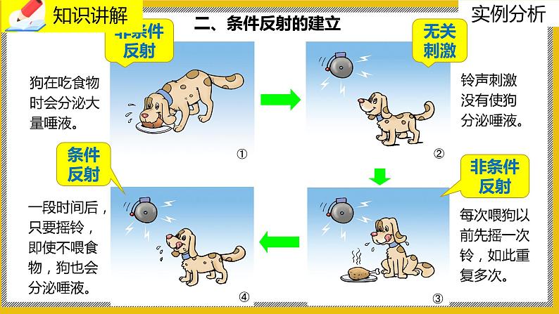 12.1.2《神经系统的组成》课件PPT第6页