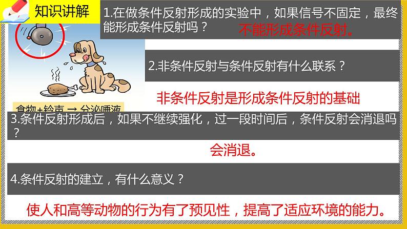 12.1.2《神经系统的组成》课件PPT第7页
