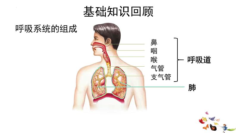 4.3.2发生在肺内的气体交换课件02