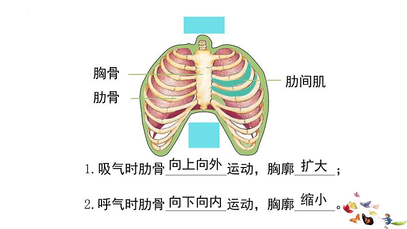 4.3.2发生在肺内的气体交换课件04