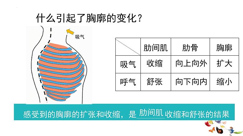 4.3.2发生在肺内的气体交换课件05