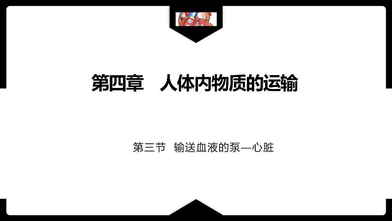 4.4.3输送血液的泵——心脏(第1课时)课件01