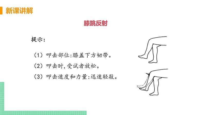 4.6.3神经调节的基本方式课件05