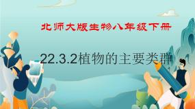 北师大版八年级下册第3节  植物的主要类群授课课件ppt