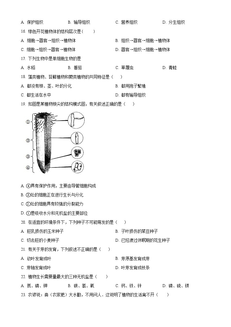 精品解析:广东省广州市越秀区广东实验中学2022-2023学年七年级上学期期末生物试题(原卷版)第3页