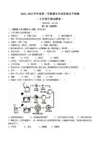 安徽省芜湖市无为市2022-2023学年七年级上学期期末生物试题（含答案）
