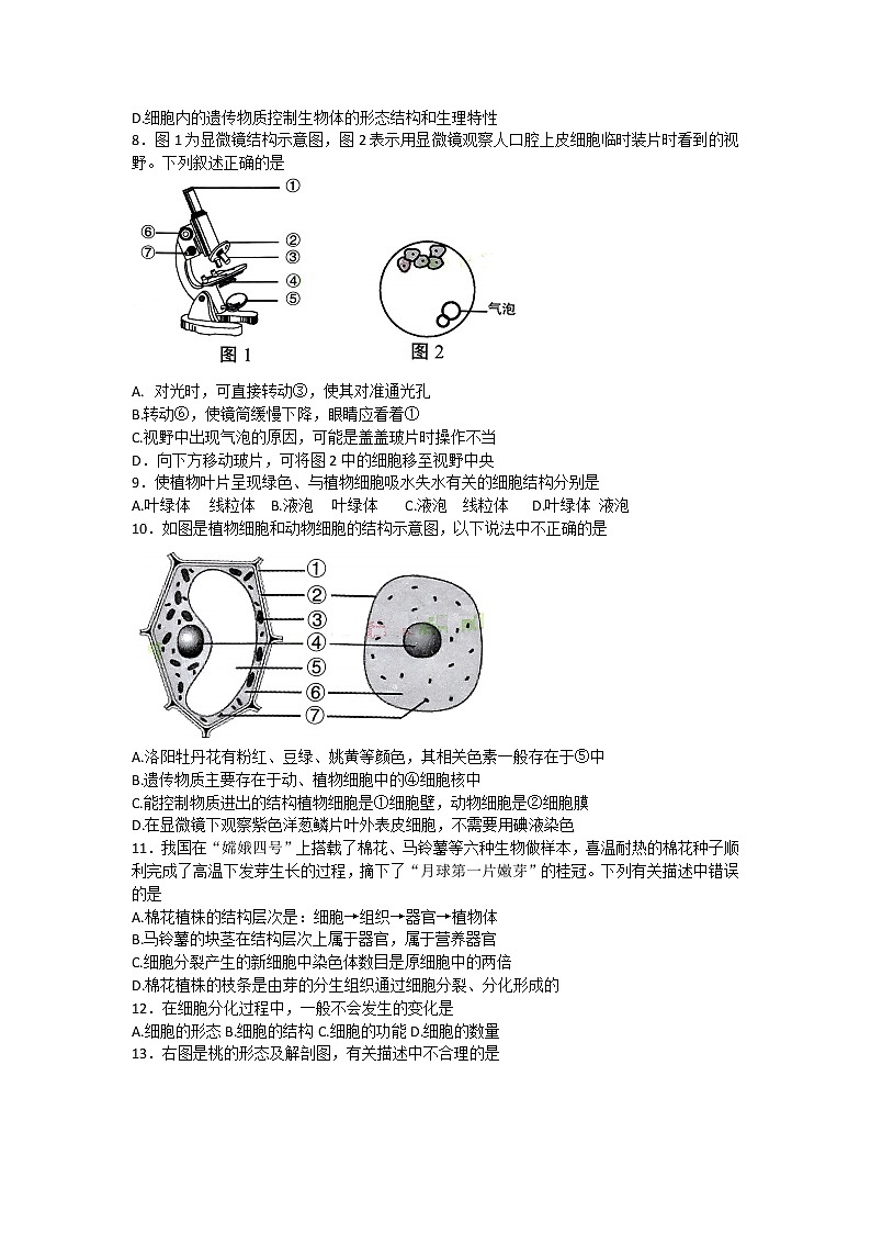 河南省洛阳市2022-2023学年七年级上学期期末考试生物试卷(含答案)第2页