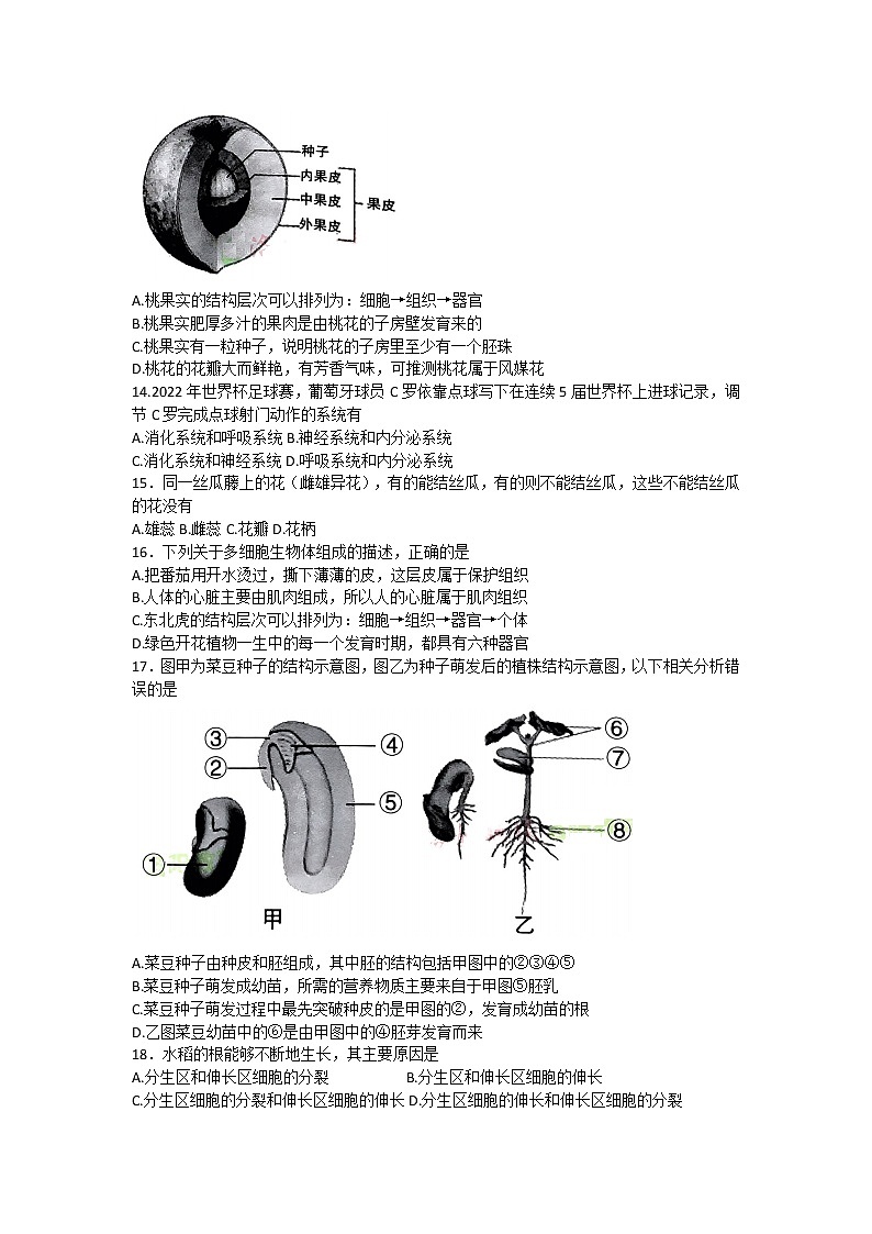 河南省洛阳市2022-2023学年七年级上学期期末考试生物试卷(含答案)第3页
