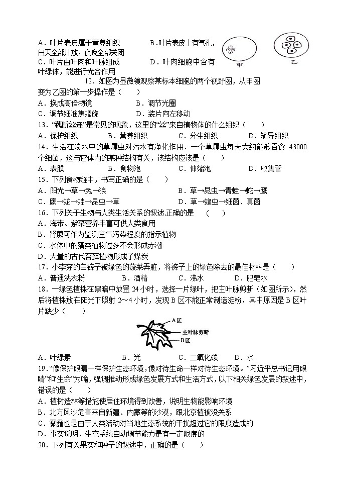 江西省南昌市十校联考2022-2023学年七年级上学期期末阶段性学习质量检测生物试卷(含答案)第2页