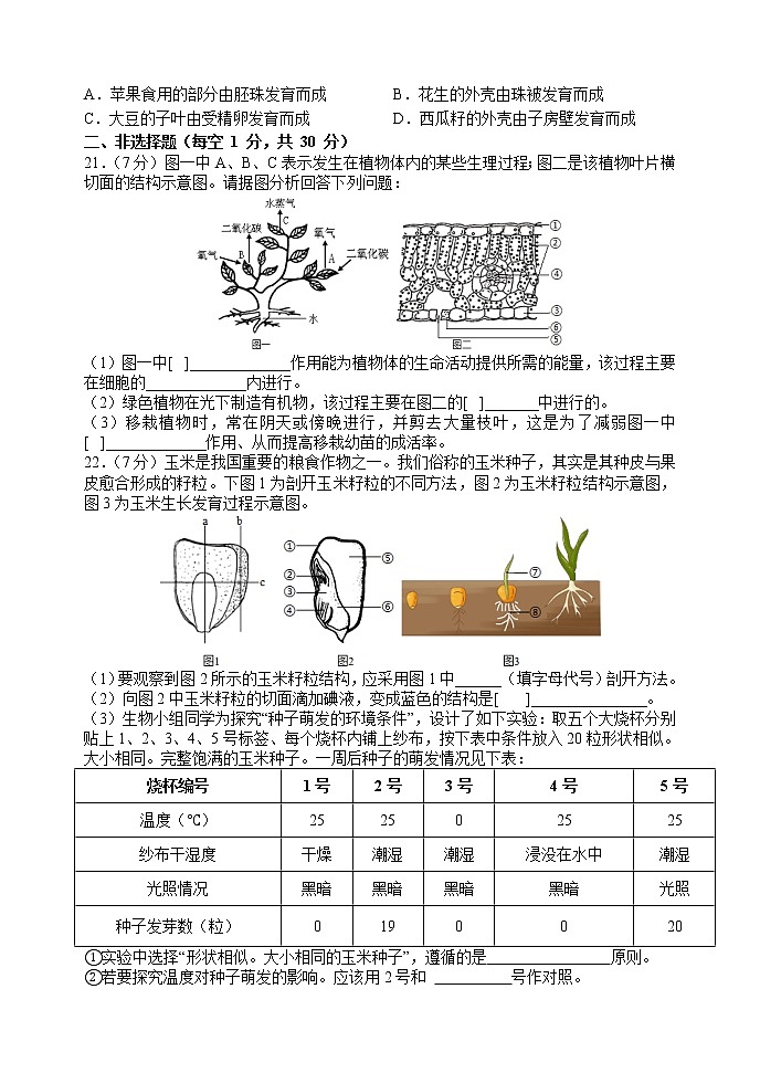 江西省南昌市十校联考2022-2023学年七年级上学期期末阶段性学习质量检测生物试卷(含答案)第3页
