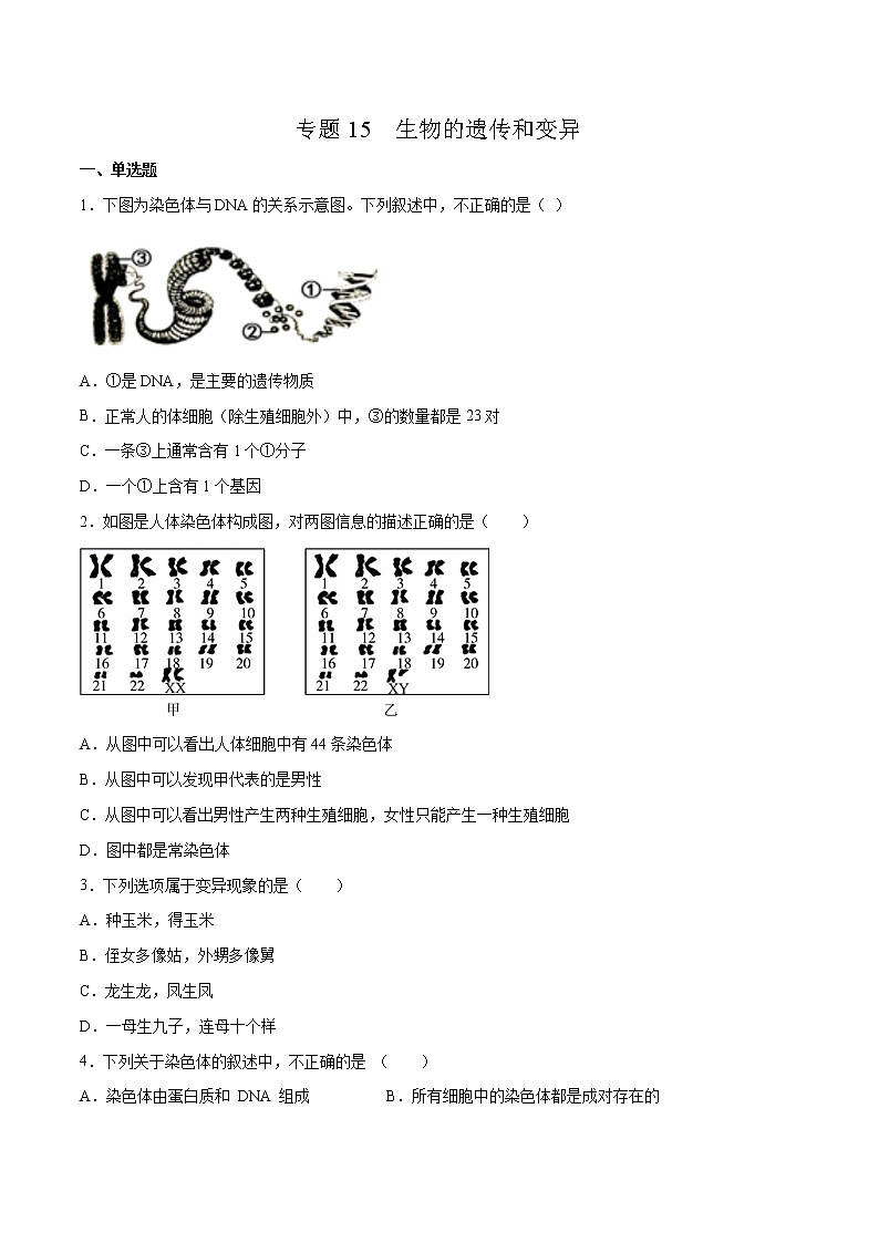 15 生物的遗传和变异(原卷版)——【中考二轮复习】2023年生物通用版专题训练第1页