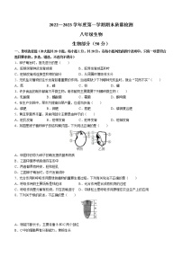 江西省吉安市永新县2022-2023学年八年级上学期期末生物试题（含答案）