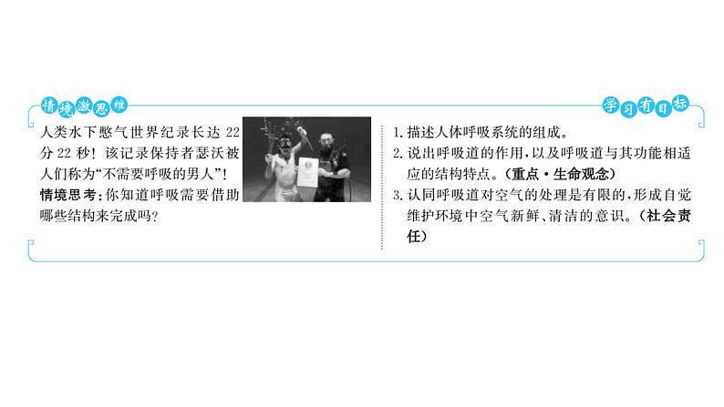 第三章 第一节 呼吸道对空气的处理 课件 2022-2023 人教版生物 七年级下册第2页