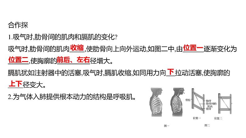 第三章 第二节 发生在肺内的气体交换 课件 2022-2023 人教版生物 七年级下册第7页