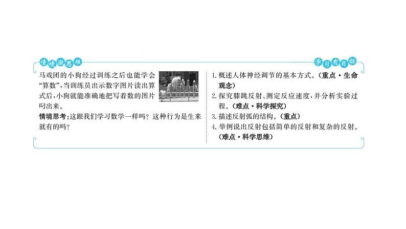 第六章 第三节 神经调节的基本方式 课件 2022-2023 人教版生物 七年级下册第2页
