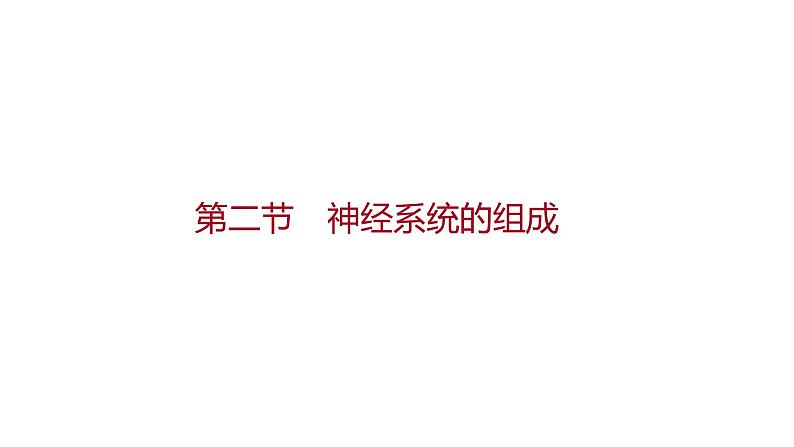 第六章 第二节 神经系统的组成 课件 2022-2023 人教版生物 七年级下册01