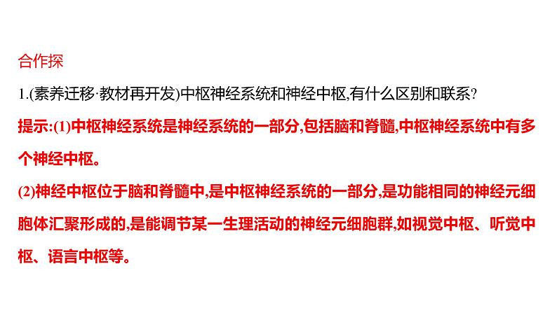第六章 第二节 神经系统的组成 课件 2022-2023 人教版生物 七年级下册05