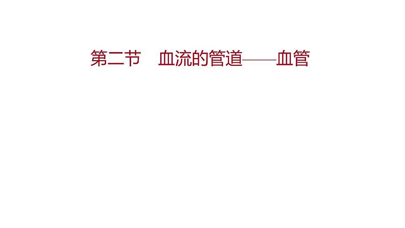 第四章 第二节 血流的管道——血管 课件 2022-2023 人教版生物 七年级下册第1页