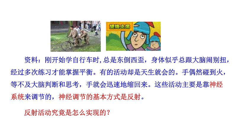 4.6.3 神经调节的基本方式新 多媒体课件 2022-2023 人教版生物 七年级下册第2页